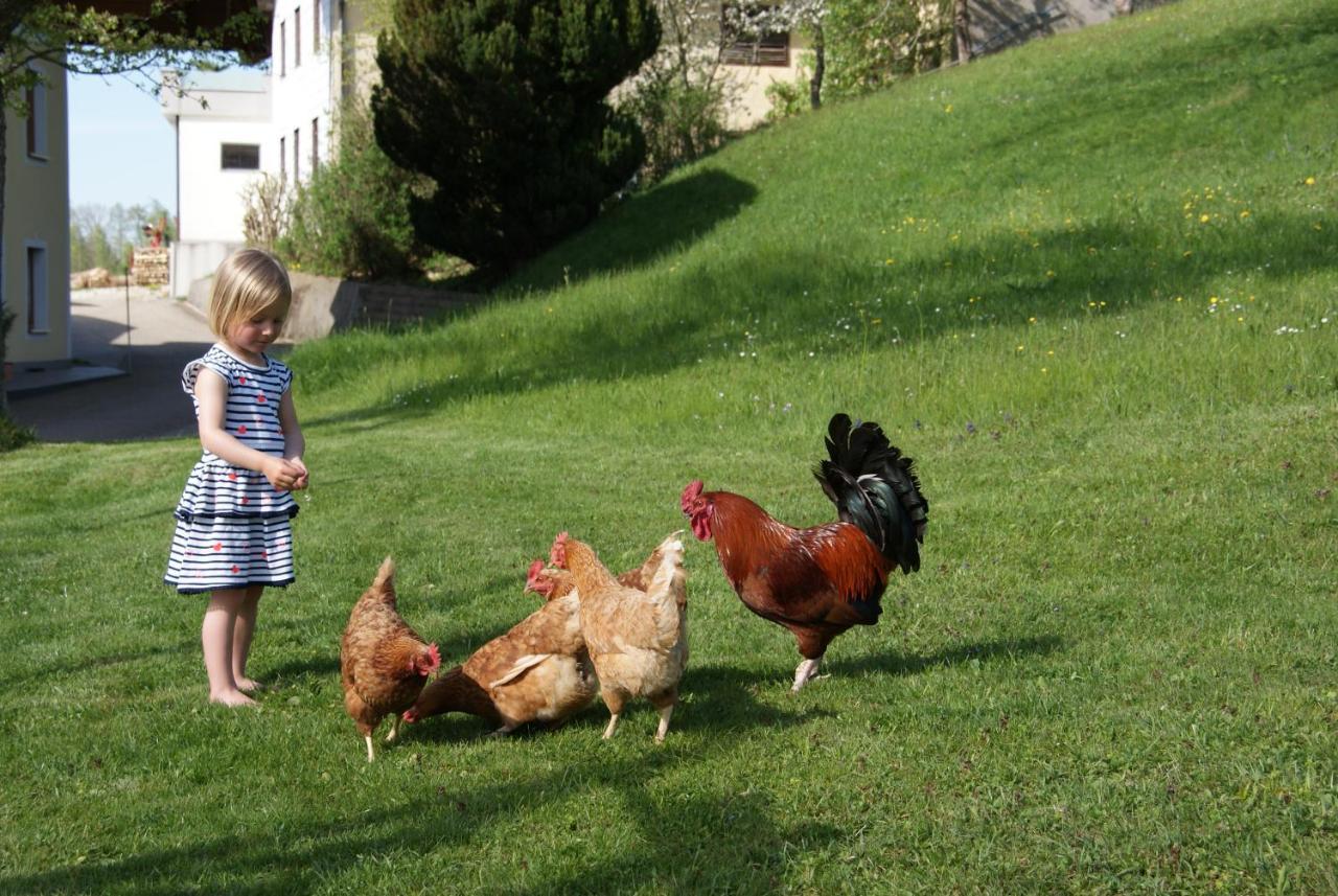 Ferienhof Edtmeier Zell am Moos Exteriér fotografie